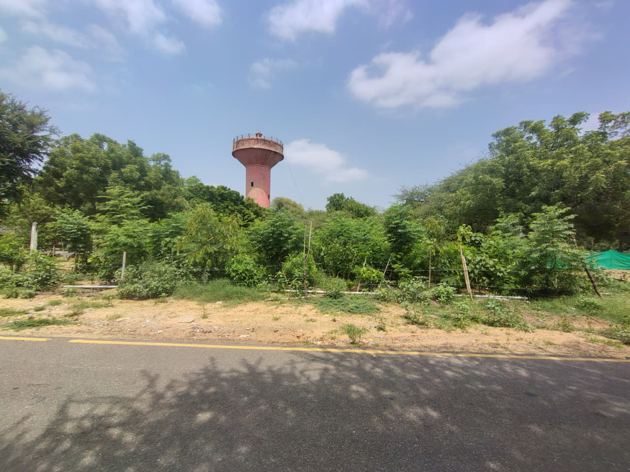 Urban Greening